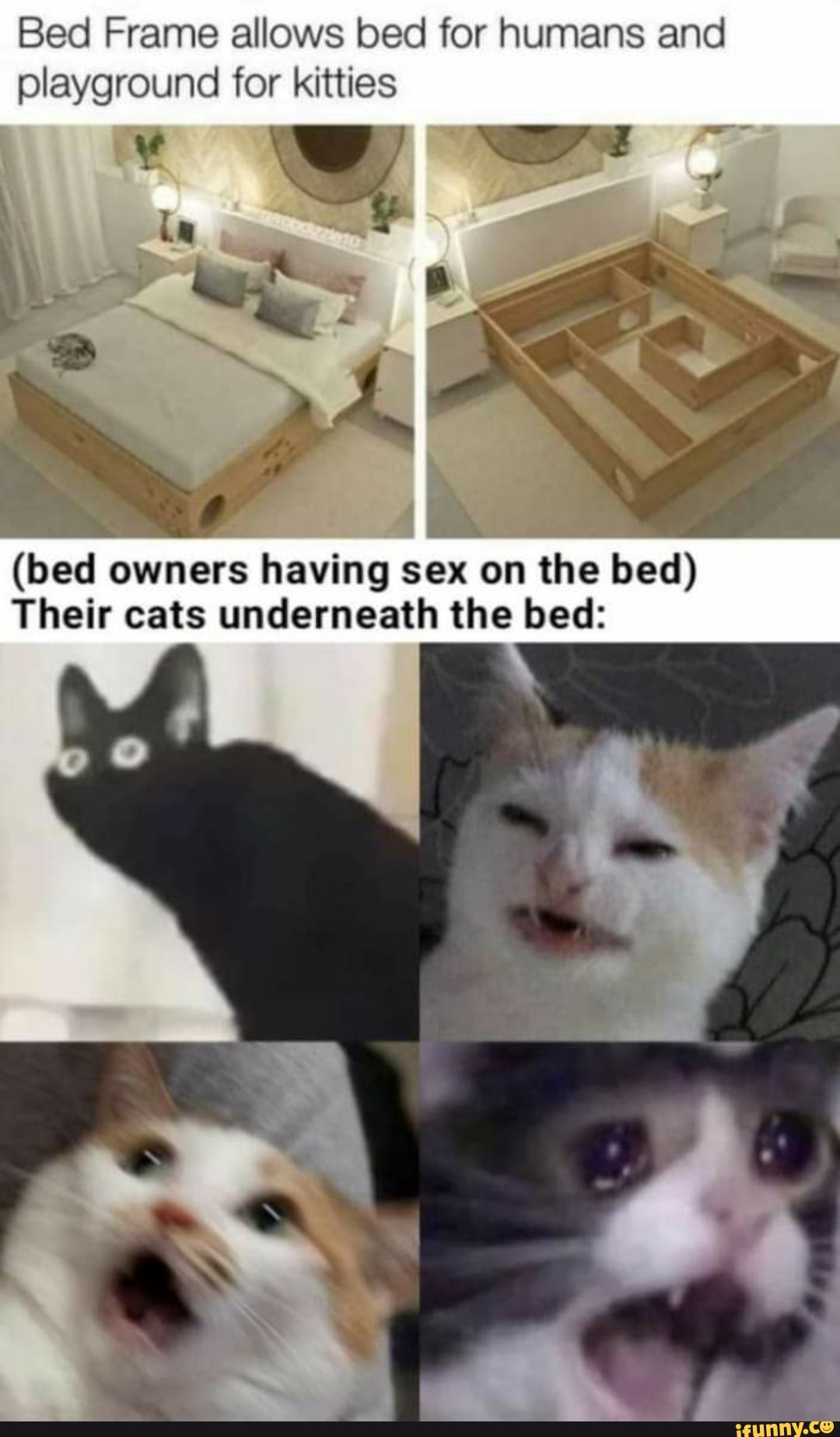 Bed Frame allows bed for humans and playground for kitties (bed owners  having sex on the bed) Their cats underneath the bed: - iFunny Brazil