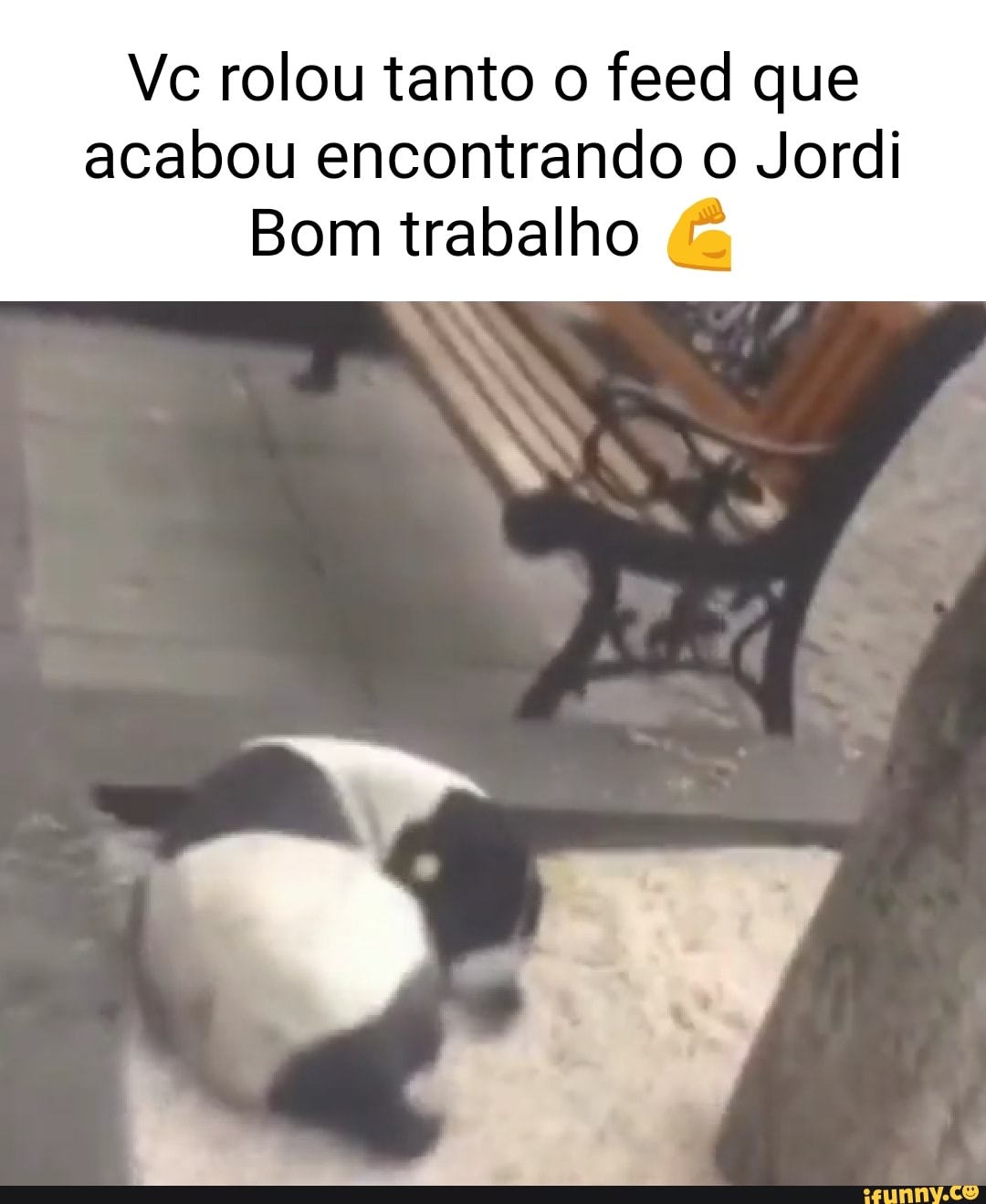 Jordi memes. Best Collection of funny Jordi pictures on iFunny Brazil