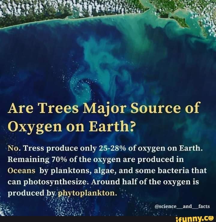 Are Trees Major Source of Oxygen on Earth? No. Tress produce only 2528