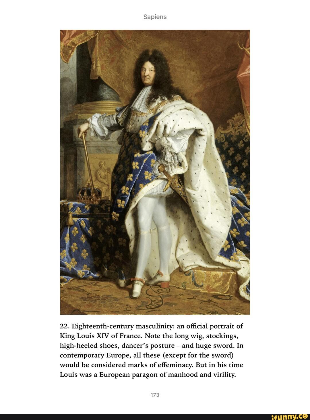Sapiens 22. Eighteenth-century masculinity: an official portrait of King  Louis XIV of France. Note the