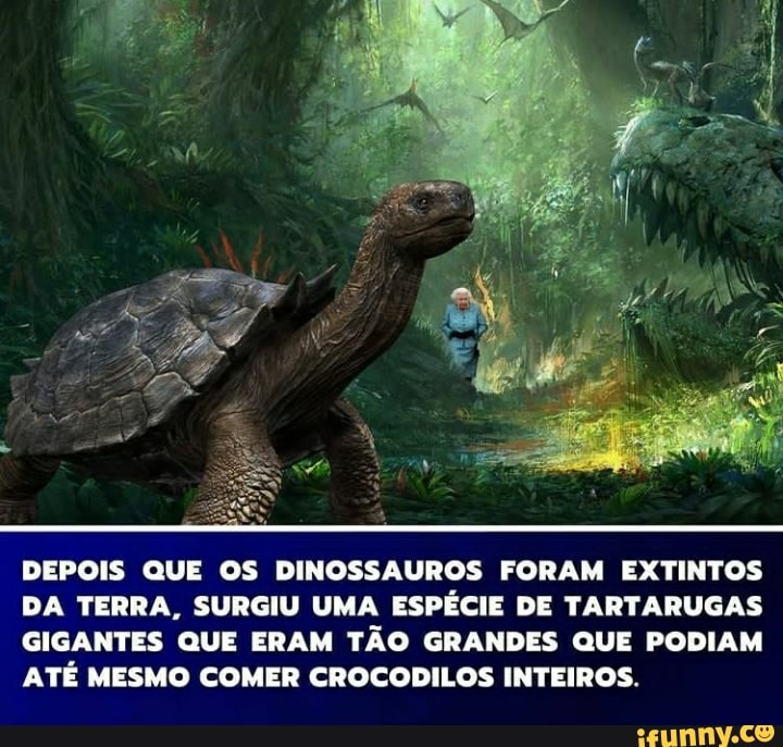 Destacado 24 comentários Saiko uma fez caiu a cabeça no chão nesse dia os  dinossauros foram extintos CristoferDavi - iFunny Brazil