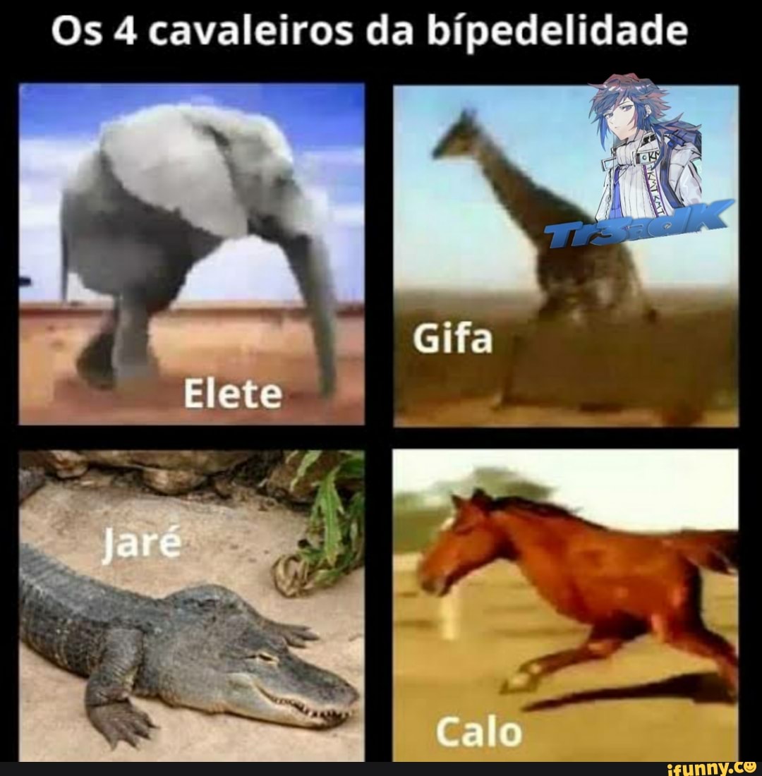 Memes da Vida (Qmemesdavidaofe Minha cabeça o dia todo: Que isso meu filho  calma Ele goooosta CAVALO (Qmemesdavida.ofe - iFunny Brazil