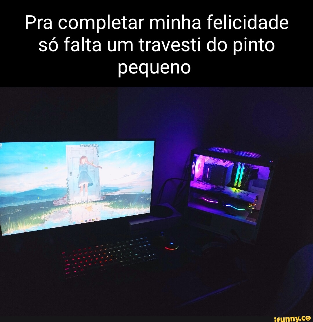 Pra completar minha felicidade só falta um travesti do pinto pequeno -  iFunny Brazil