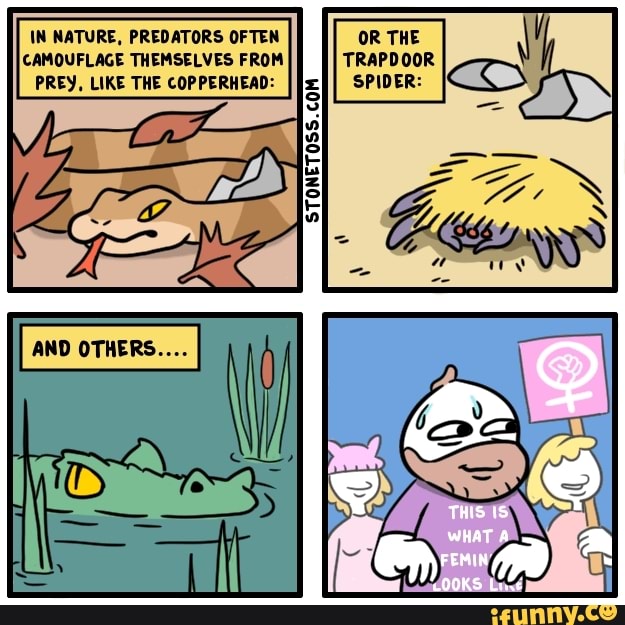 The Nature of Predators