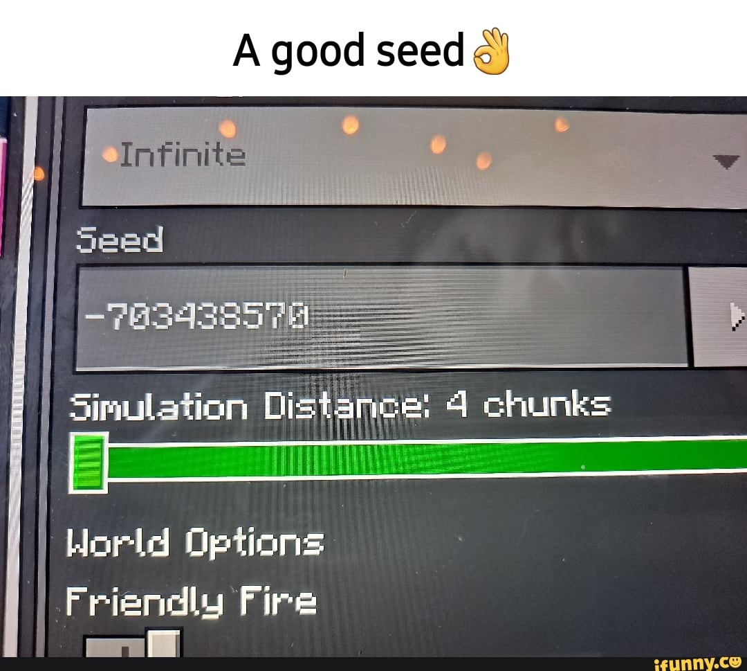 A good seed Seed Simulation Distance: 4 chunks World Options I