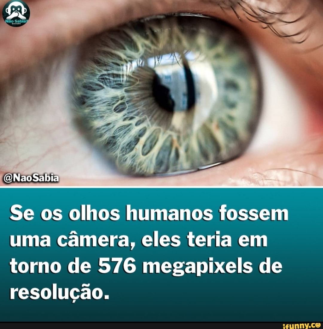 Google: Olxtraterrestre *Eu de boas no Google* Então você é humano? Me  mostre imediatamente todas as semátorosx - iFunny Brazil