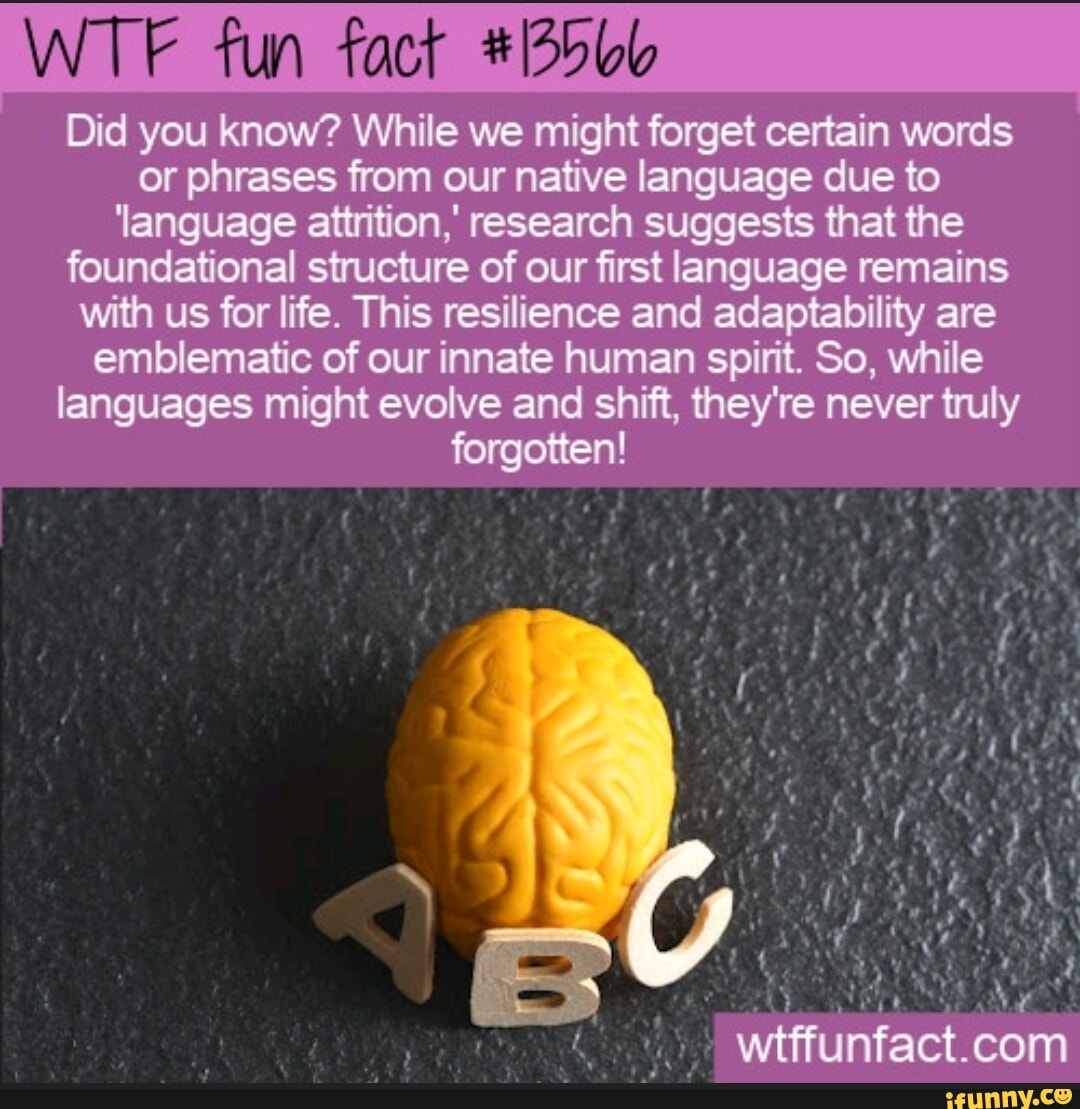 interesting facts words