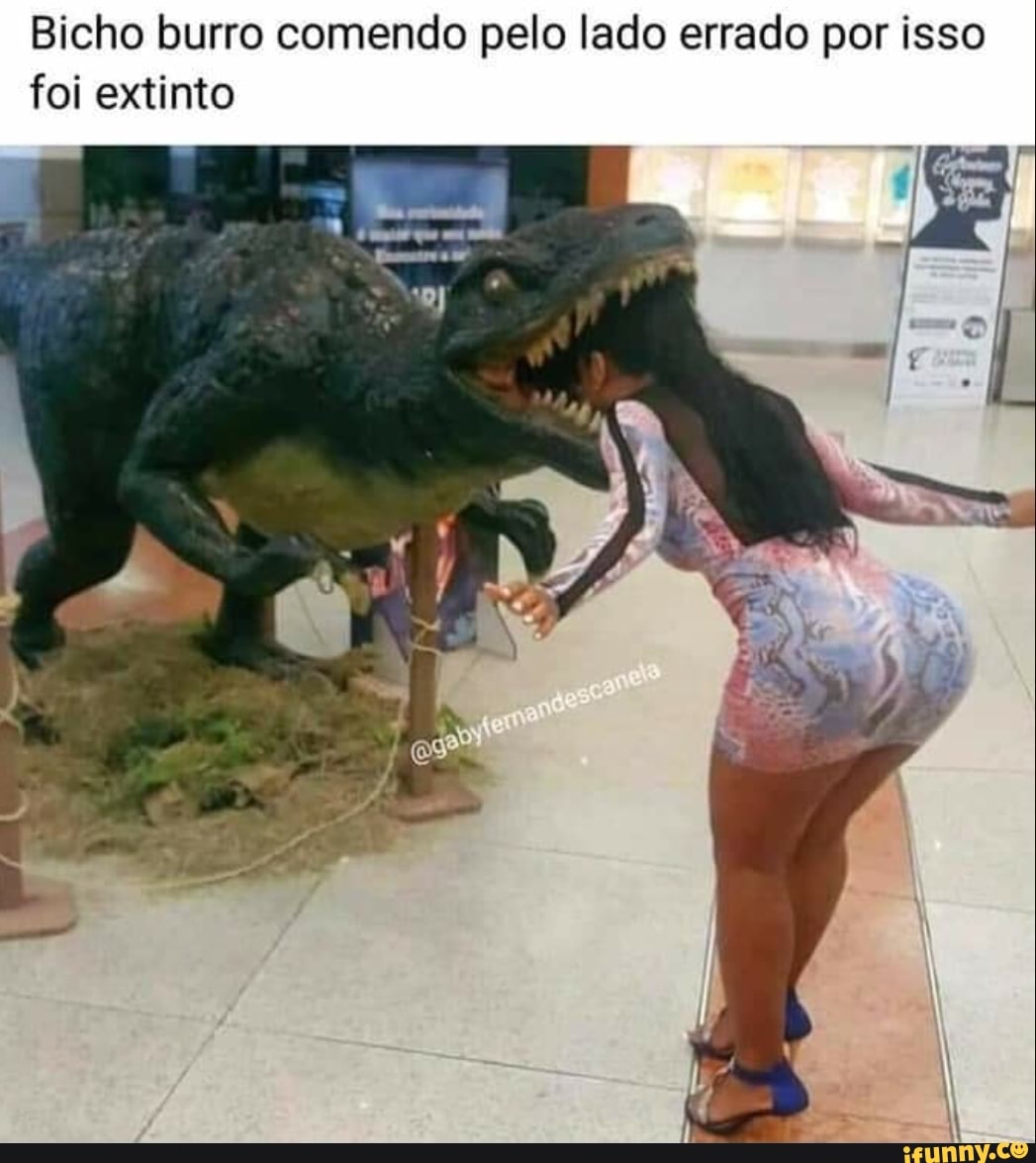 Bicho burro comendo pelo lado errado por isso foi extinto - iFunny Brazil