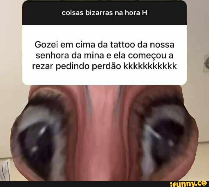 Bizonhas memes. Best Collection of funny Bizonhas pictures on iFunny Brazil