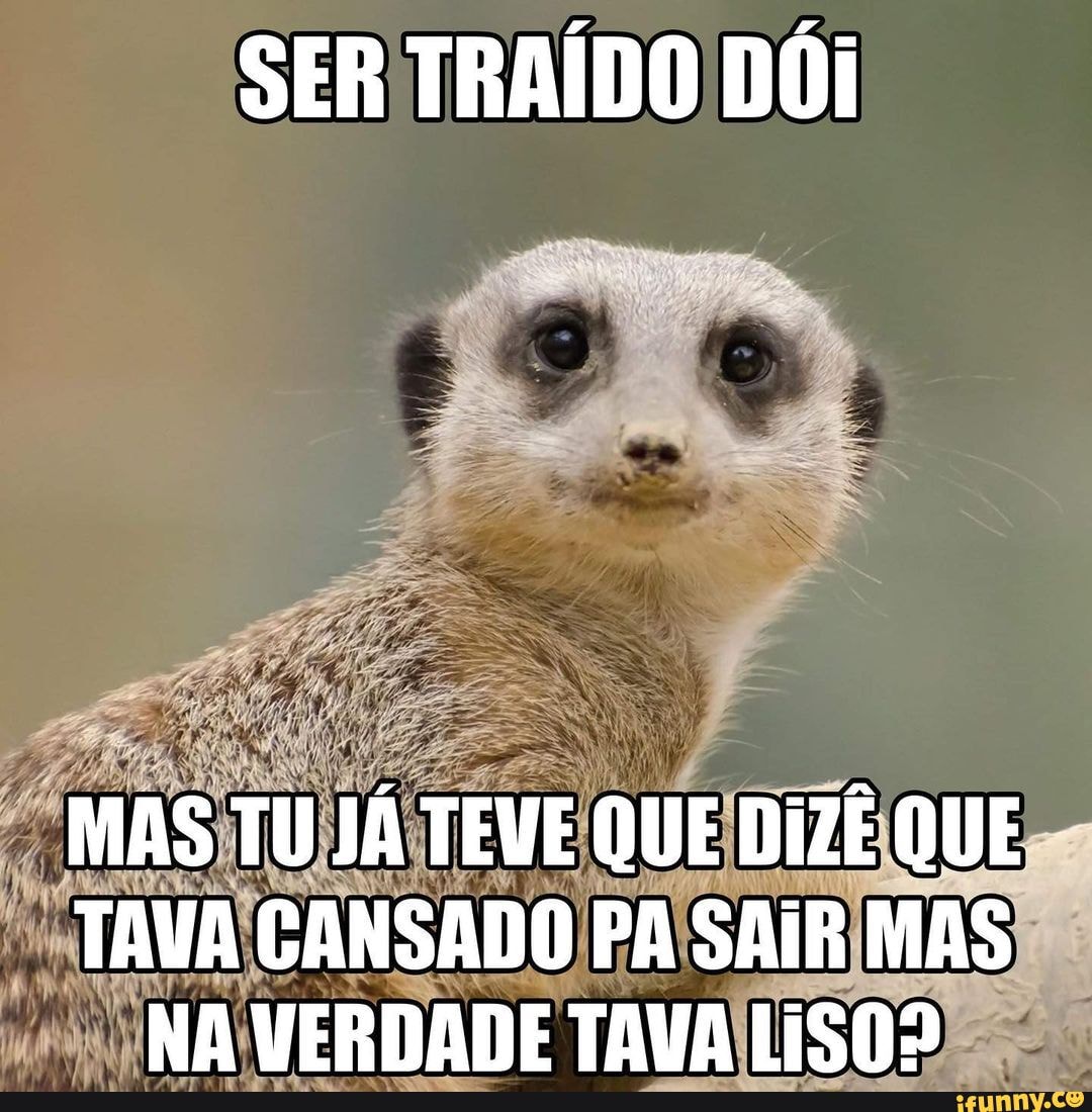 SIGA PARA MEMES TODOS OS DIAS ♡ #surdo #meme #tiktok #viral #humor #co