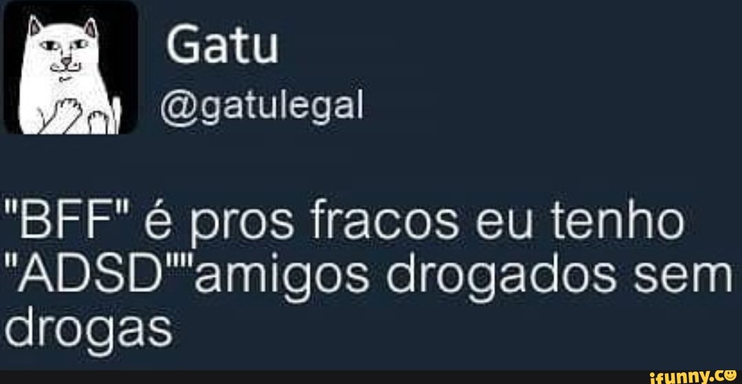 Gatu BFF é pros fracos eu tenho ADSDamigos drogados sem drogas - iFunny  Brazil