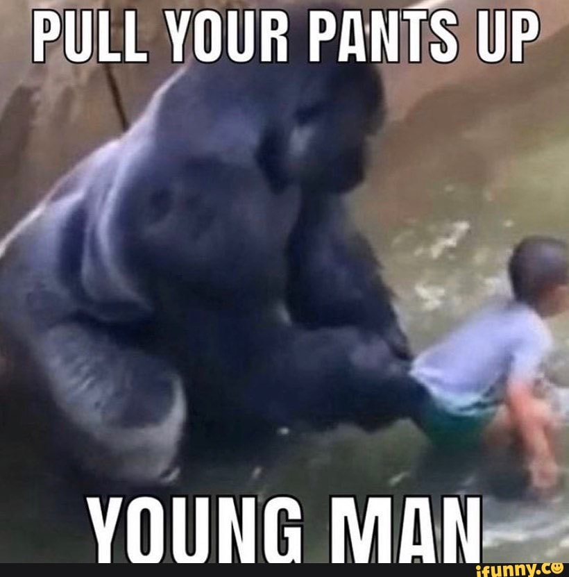 PULL YOUR PANTS UP VOUNG MON - iFunny Brazil