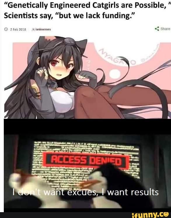 Science Explains Why Catgirls Are Popular
