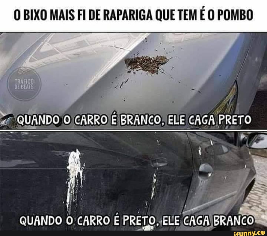 O pombo cagando no tabuleiro O que pode vir por aí?