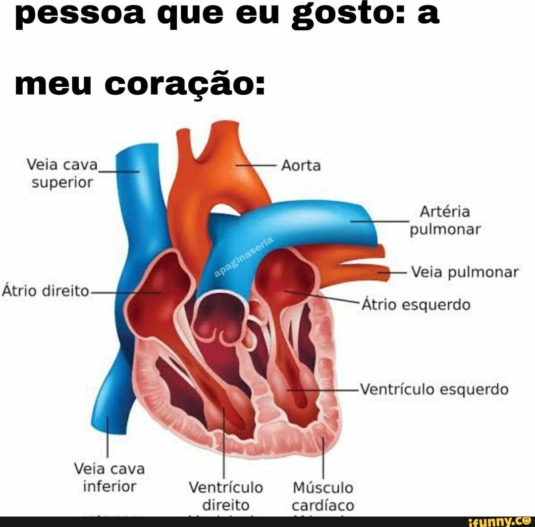 Cavaaloo memes. Best Collection of funny Cavaaloo pictures on iFunny Brazil
