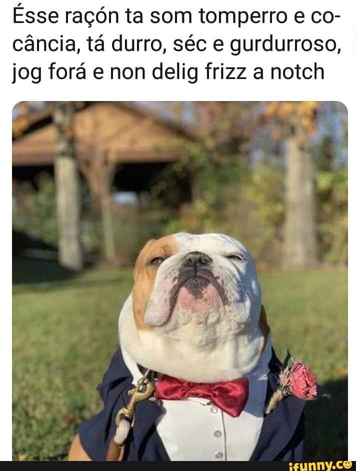 Bulldog memes. Best Collection of funny Bulldog pictures on iFunny