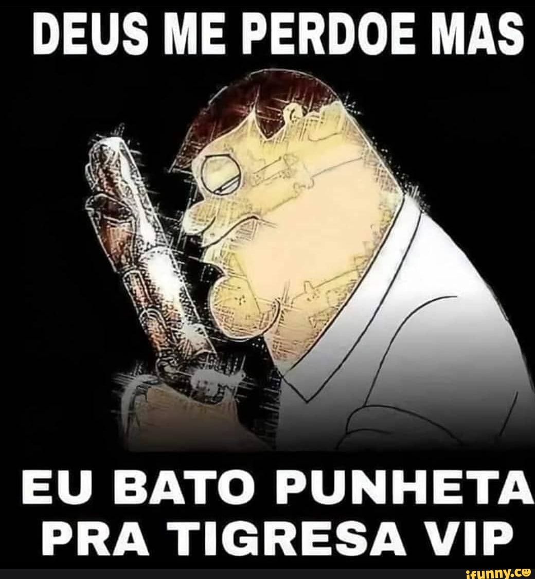 DEUS ME P ERDOE MAS EU BATO PUNHETA PRA TIGRESA VIP - iFunny Brazil