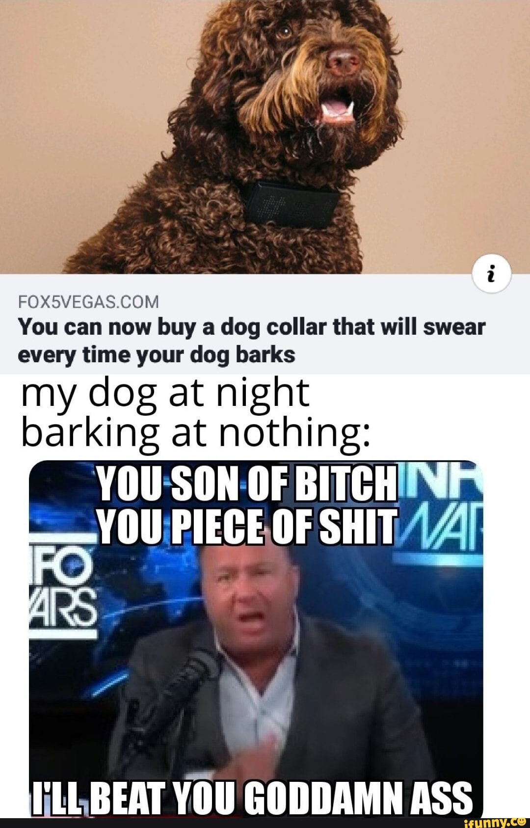 Obscene Dog Collar Funny Dog Collar Dog Collar WTF WTF 