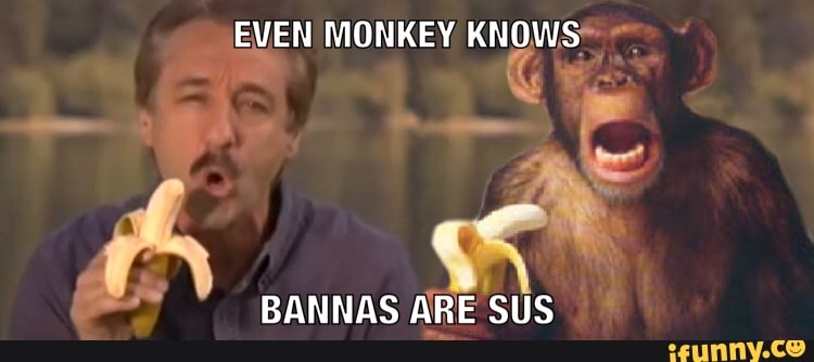 Sus Monkey Meme
