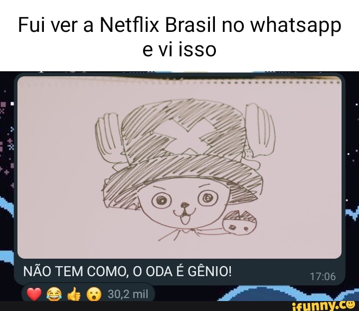 Fui ver a Netflix Brasil no whaisapp e vi isso 1706 as 30,2 mil NÃO TEM  COMO, O ODA É GÊNIO! - iFunny Brazil