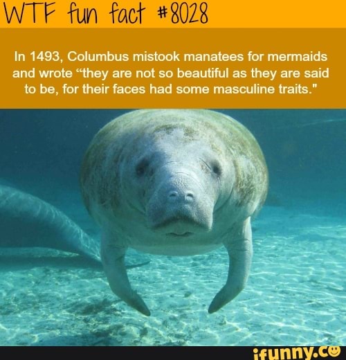 WTF fun fact In 1493, Columbus mistook manatees for mermaids and wrote