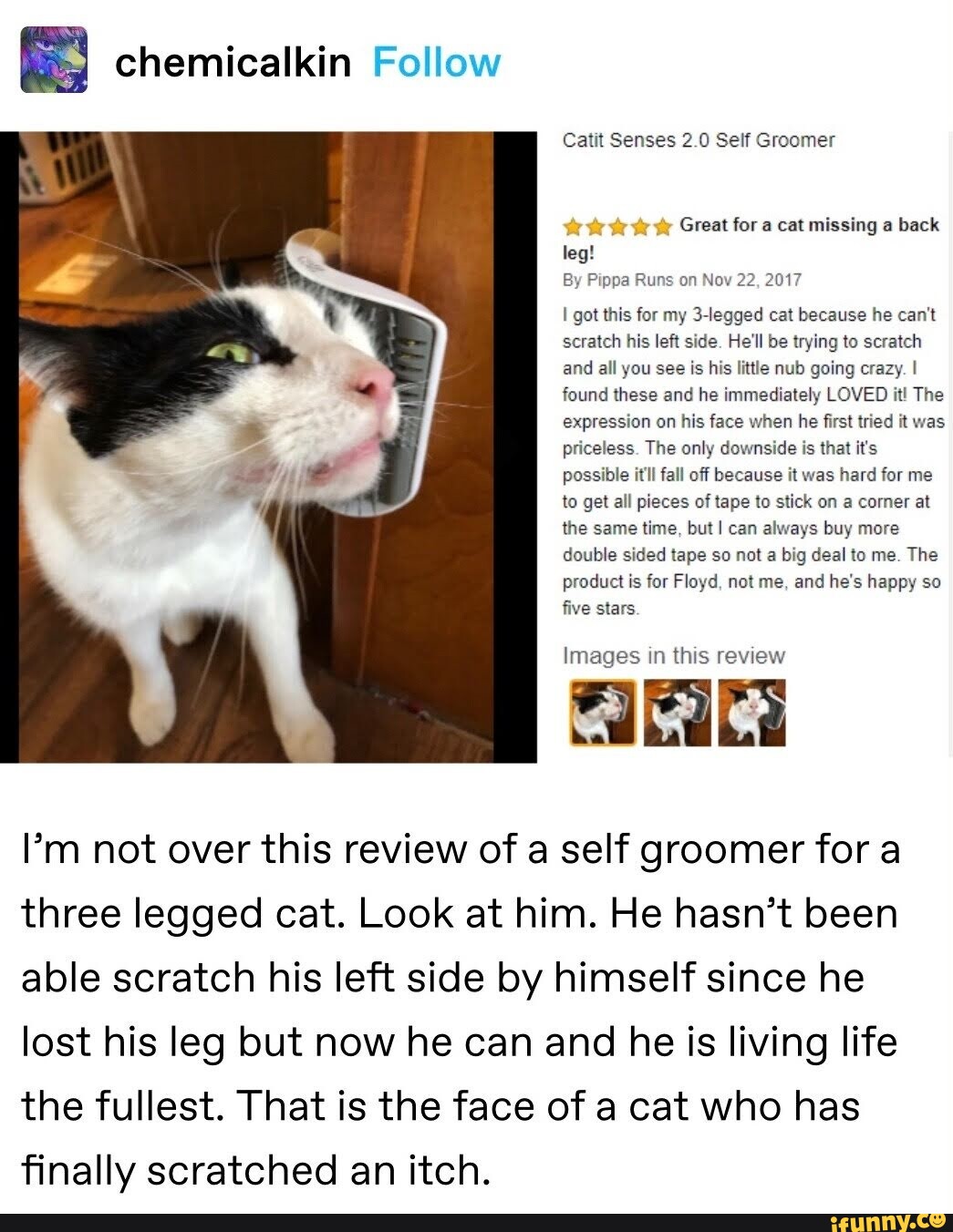 Catit senses hotsell 2.0 self groomer