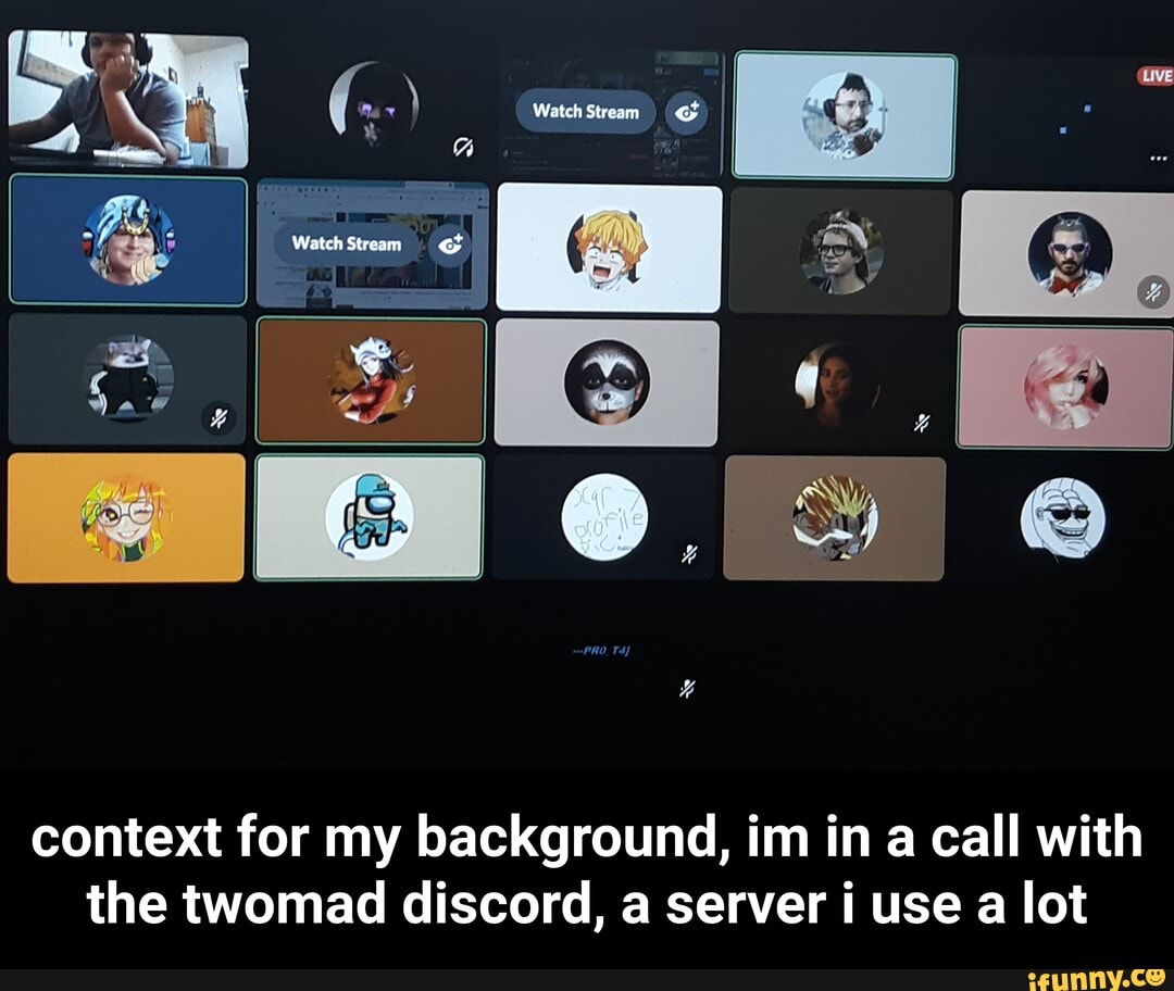 II context for my background, im in a call with the twomad discord, a server  i