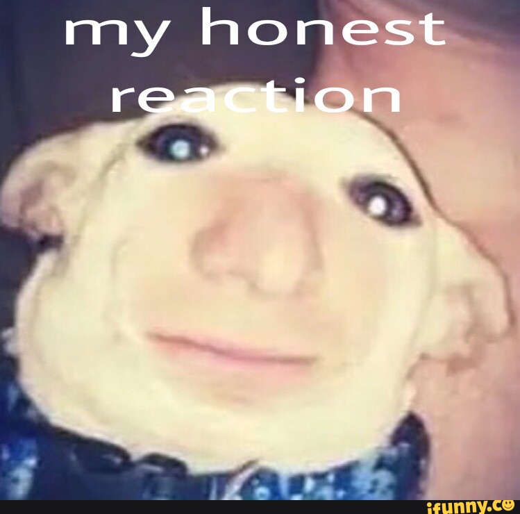 My Honest Reaction Dog GIF - My Honest Reaction Dog Reaction