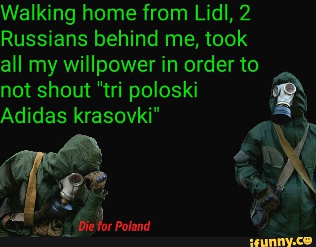 Tripoloski memes. Best Collection of funny Tripoloski pictures on iFunny  Brazil