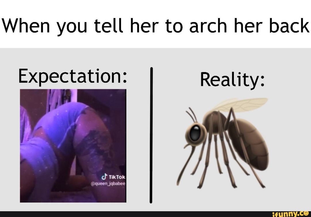 When you tell her to arch her back Expectation: Reality: fr - iFunny Brazil