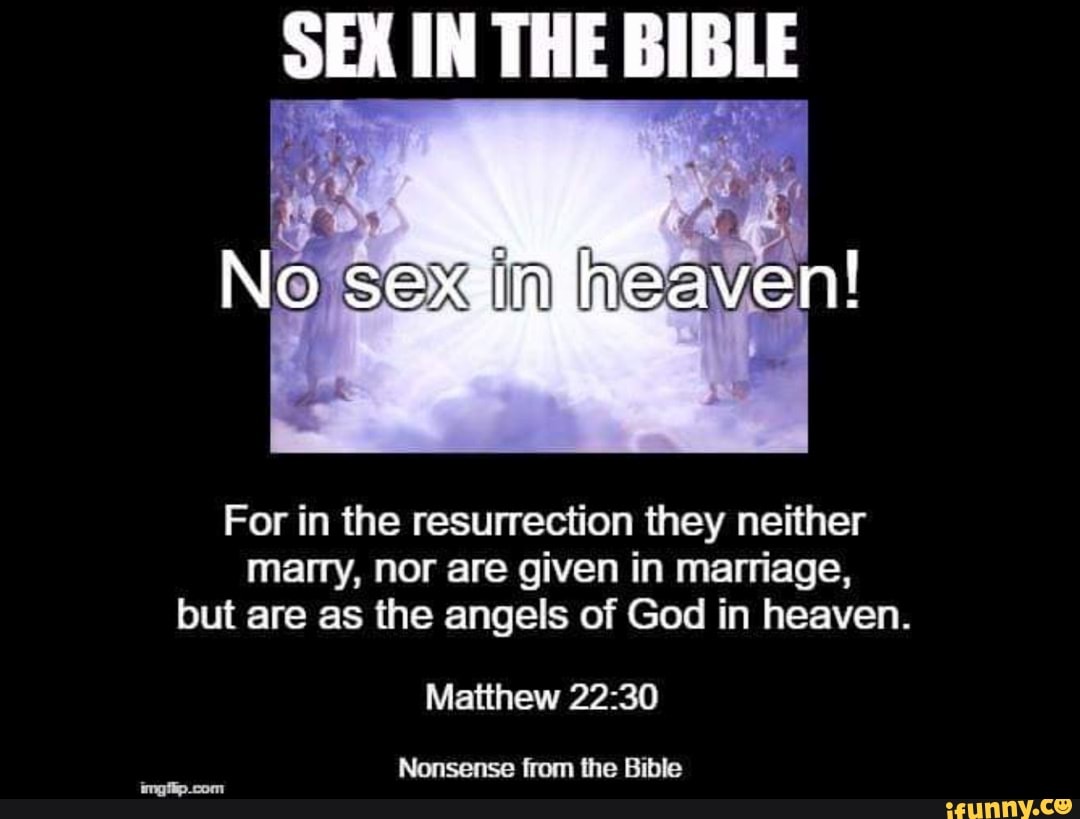 IN THE BIBLE No sex in heaven! For in the resurrection they neither marry,  nor are