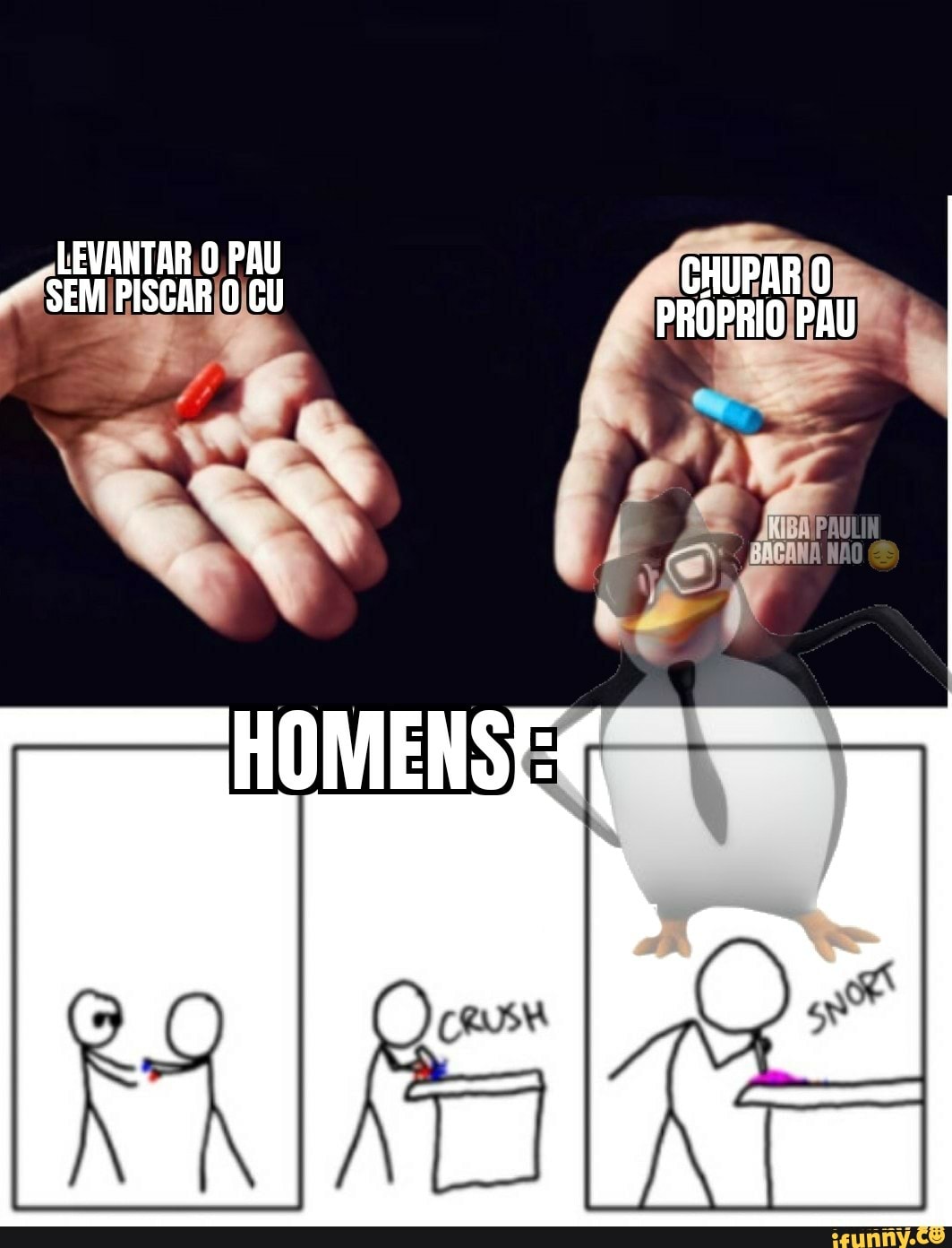 LEVANTAR O PAU CHUPAR SEM PISGAR O GU PRÓPRIO PAU AL. - iFunny Brazil