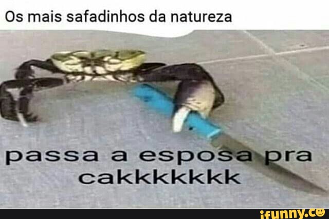 memes em imagens safadinhos