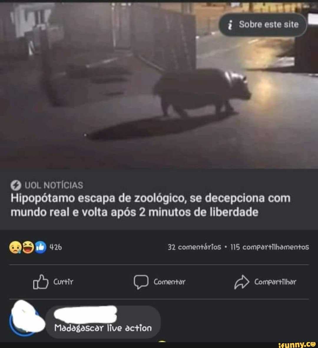 Sobre este site Q vOL NoTícias Hipopótamo escapa de zoológico, se  decepciona com mundo real e volta após 2 minutos de liberdade 426 32  comentórios 115 compartilhamentos Curtir comenter Comportihar action -  iFunny Brazil