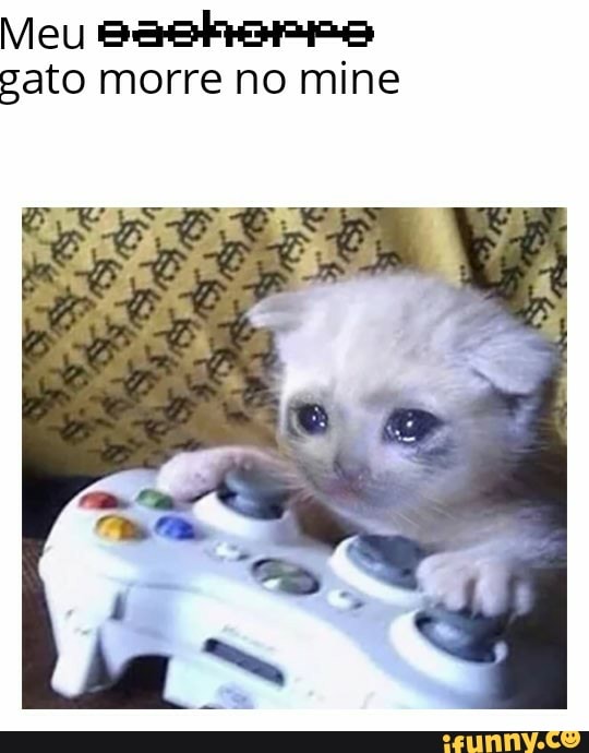 Esse gato morreu de ligma, uma tragédia - iFunny Brazil