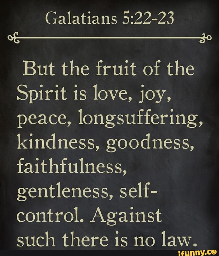 Galatians 5:22 Fruit Of The Spirit Vinyl Wall Decal - Love, Joy, Peace Scripture Quote, 12"H X 22.5"W