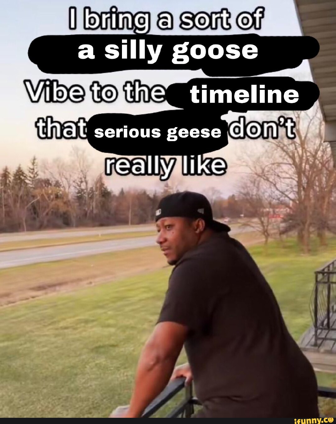 I bring a sort of a silly goose Vibe to the. timeline that serious geese do  n't really like - iFunny Brazil