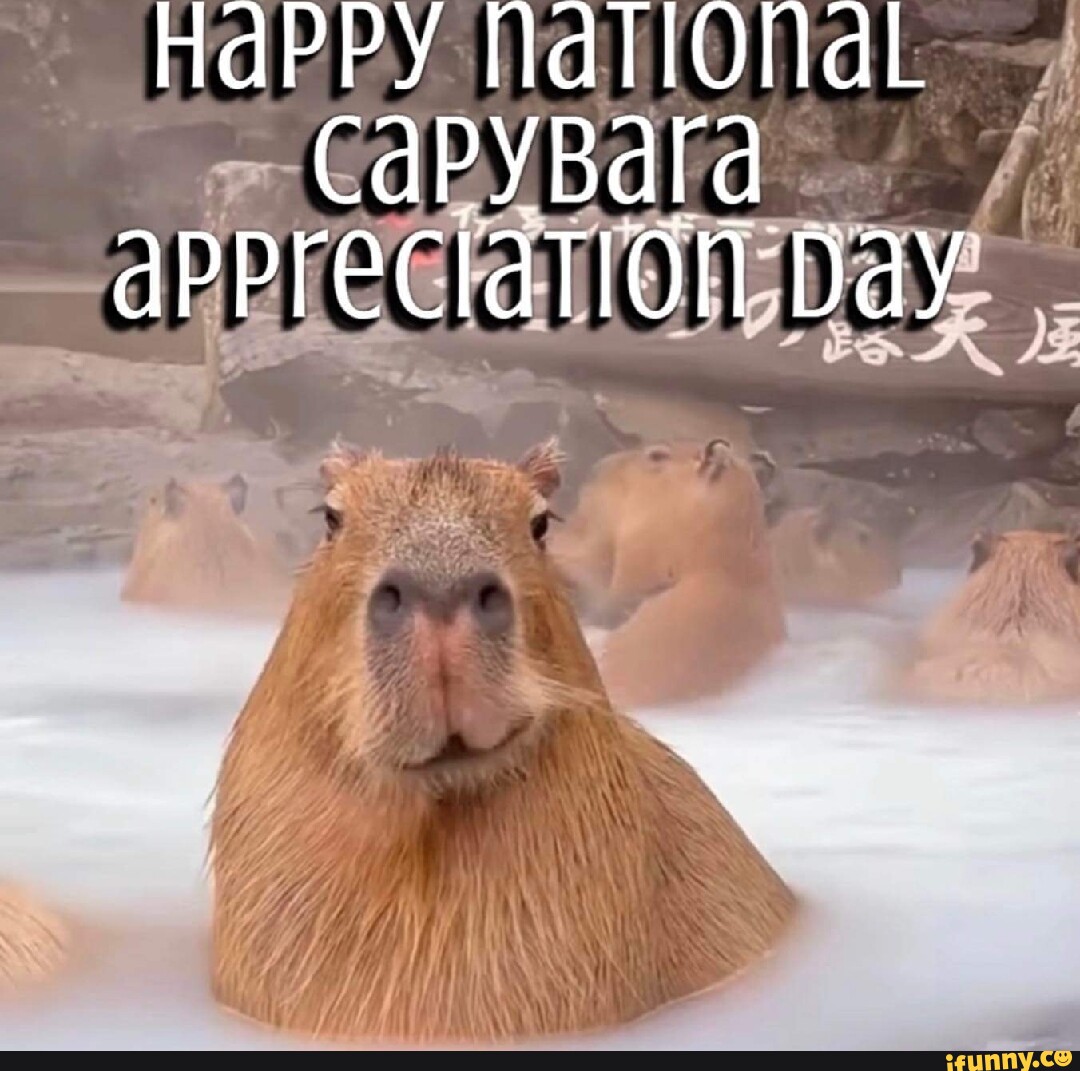 Capybar memes. Best Collection of funny Capybar pictures on iFunny