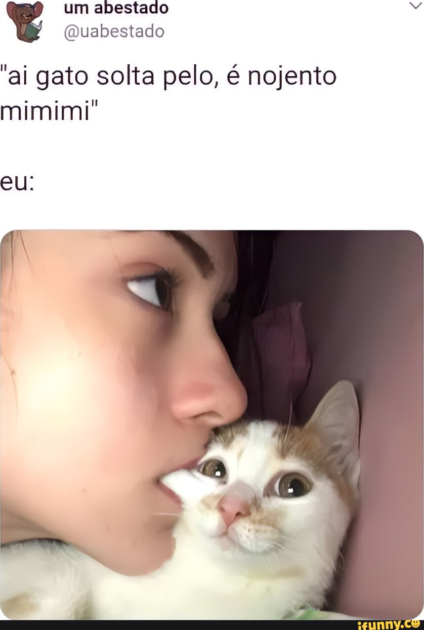 Minha gata não quis mais jogar o joguinho de gato do capeta - iFunny Brazil