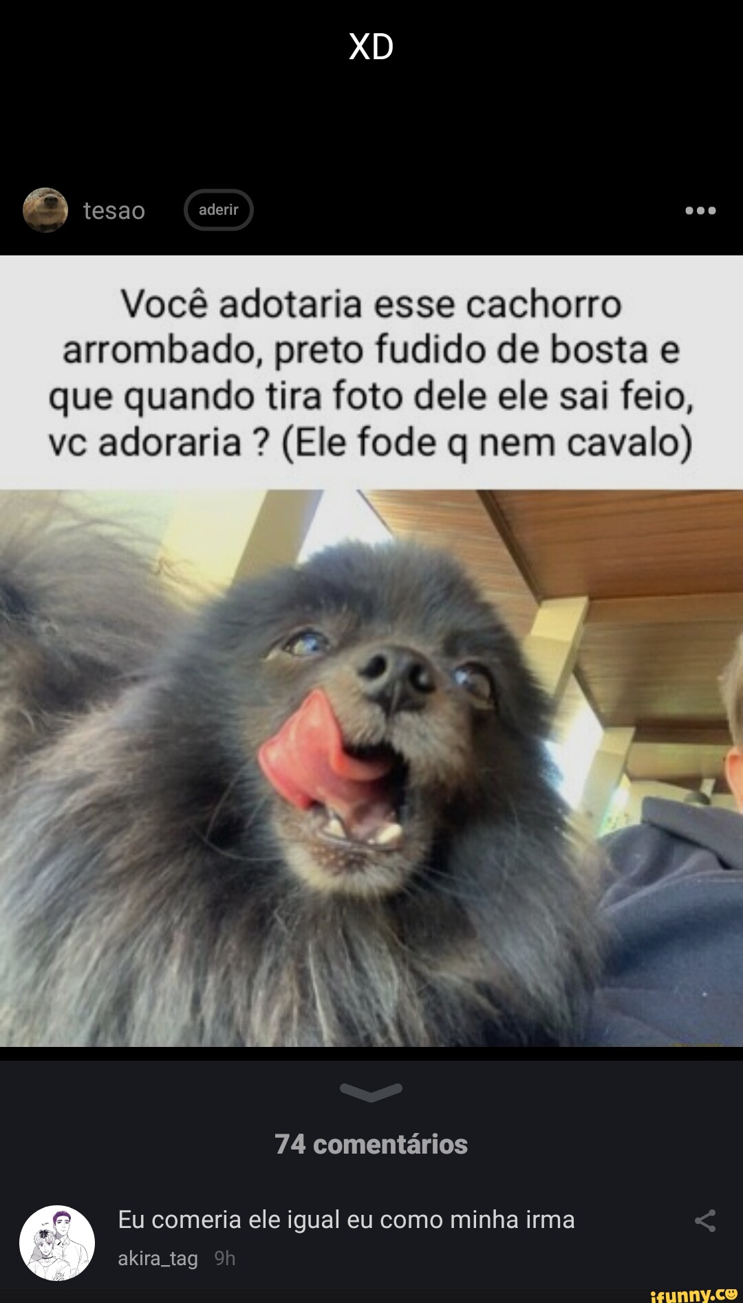 Tesao aderir Você adotaria esse cachorro arrombado, preto fudido de bosta  que quando tira foto dele