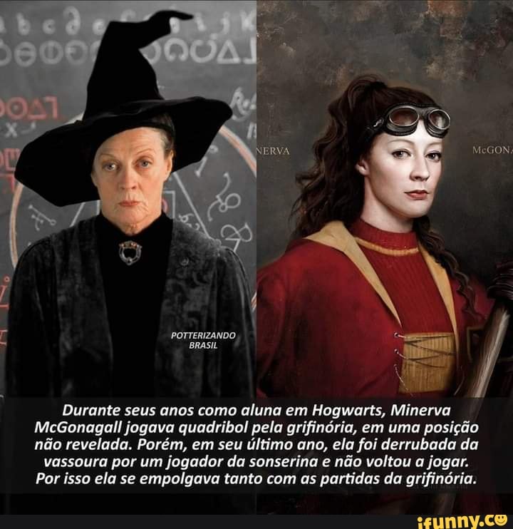 Potterizando memes. Best Collection of funny Potterizando pictures