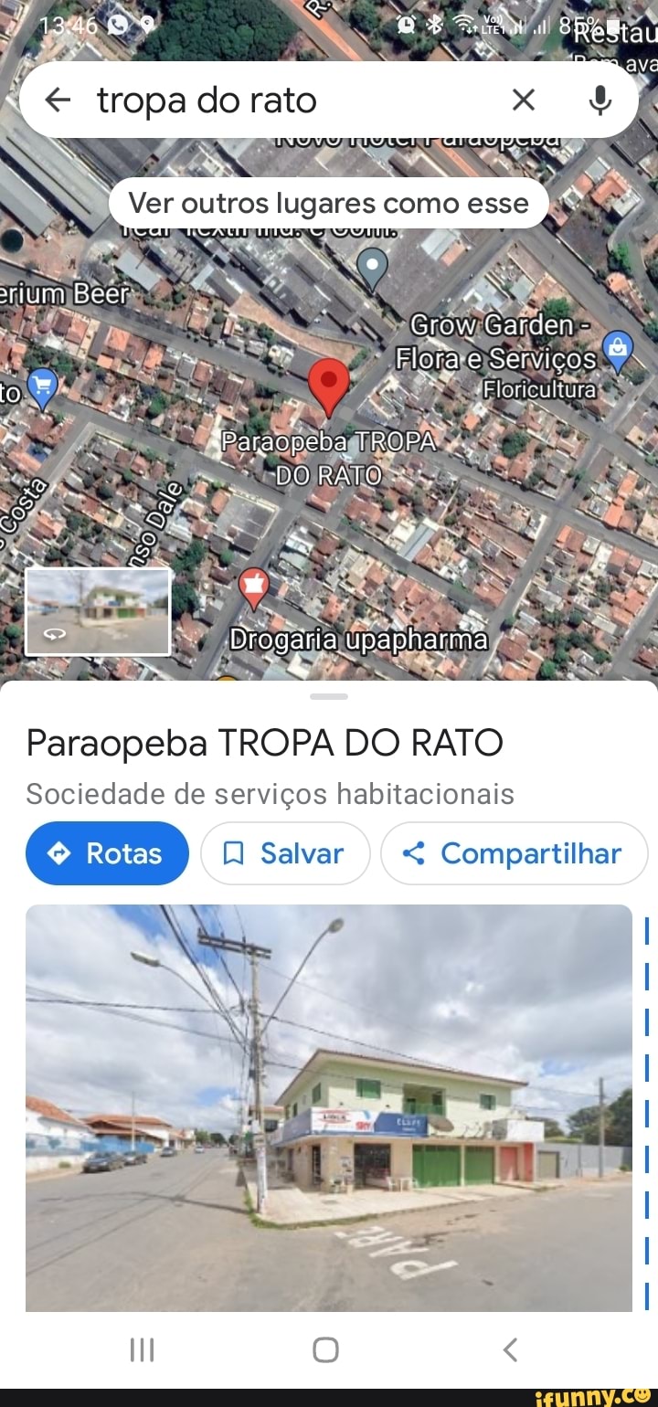 Tropa do rato