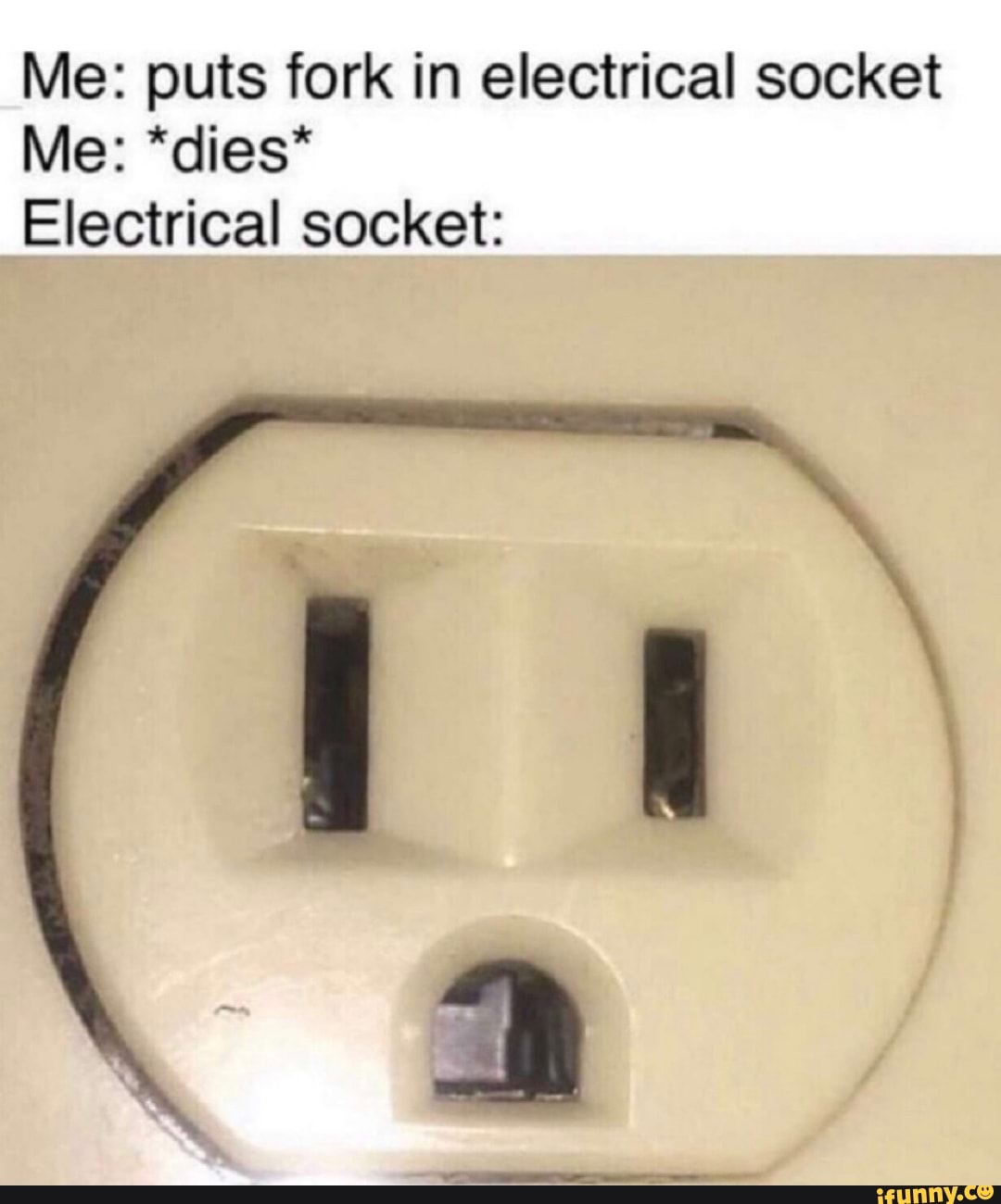 Me puts fork in electrical socket Me *dies* Electrical socket