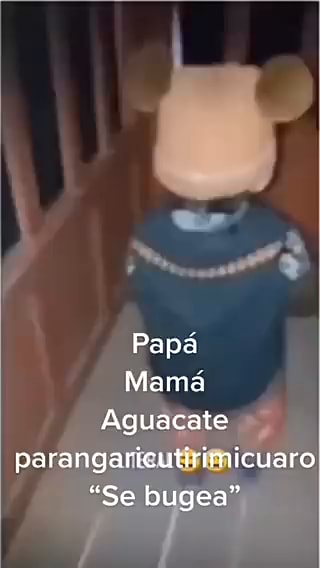 Pãp memes. Best Collection of funny Pãp pictures on iFunny Brazil