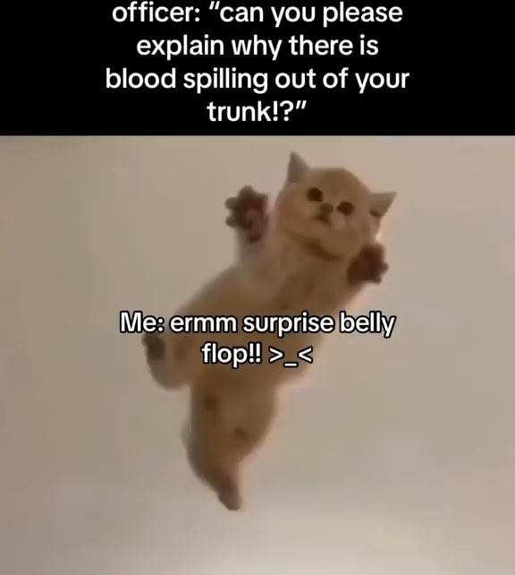 Floppus memes. Best Collection of funny Floppus pictures on iFunny