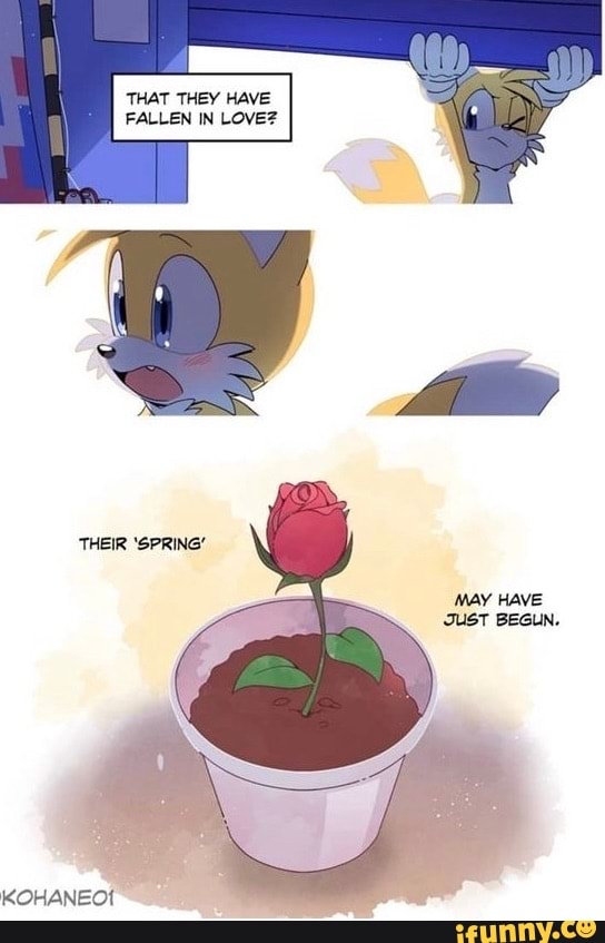 Sonamy memes. Best Collection of funny Sonamy pictures on iFunny