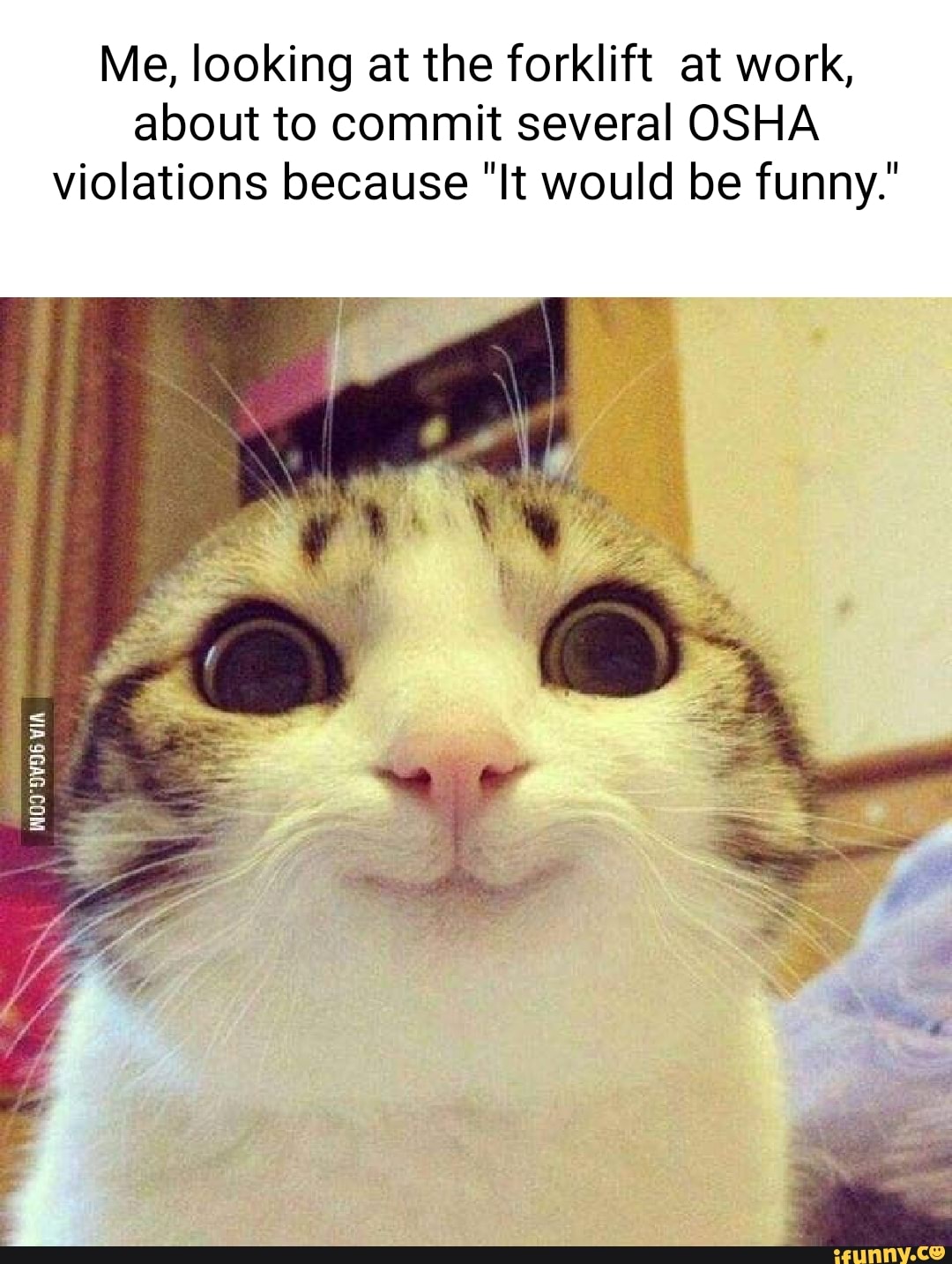 Violation memes. Best Collection of funny Violation pictures on iFunny  Brazil