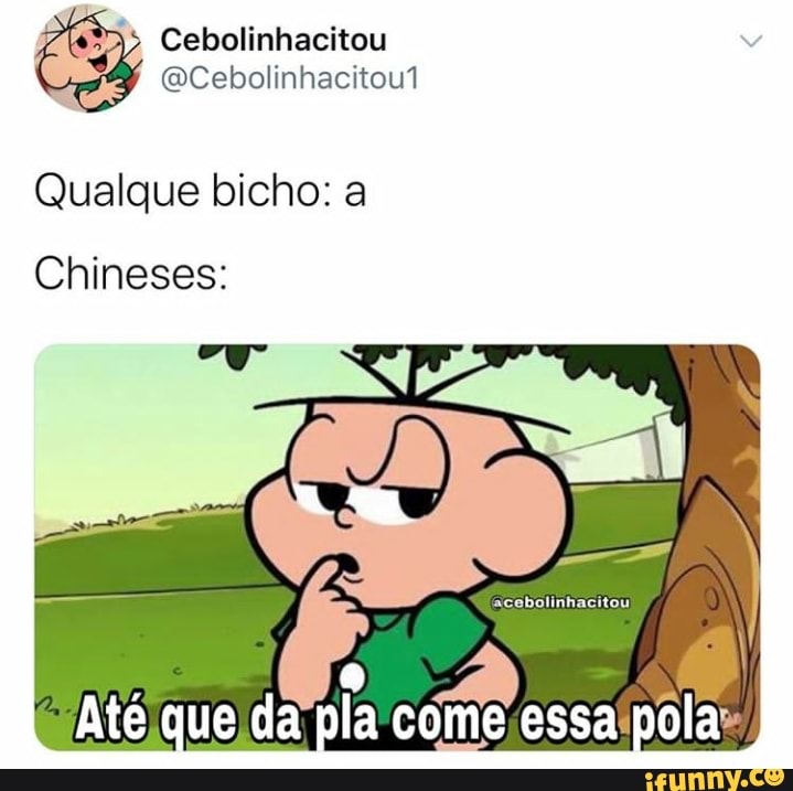 Memes de imagem 2gDp25g09 por quokkito: 1 comentário - iFunny Brazil