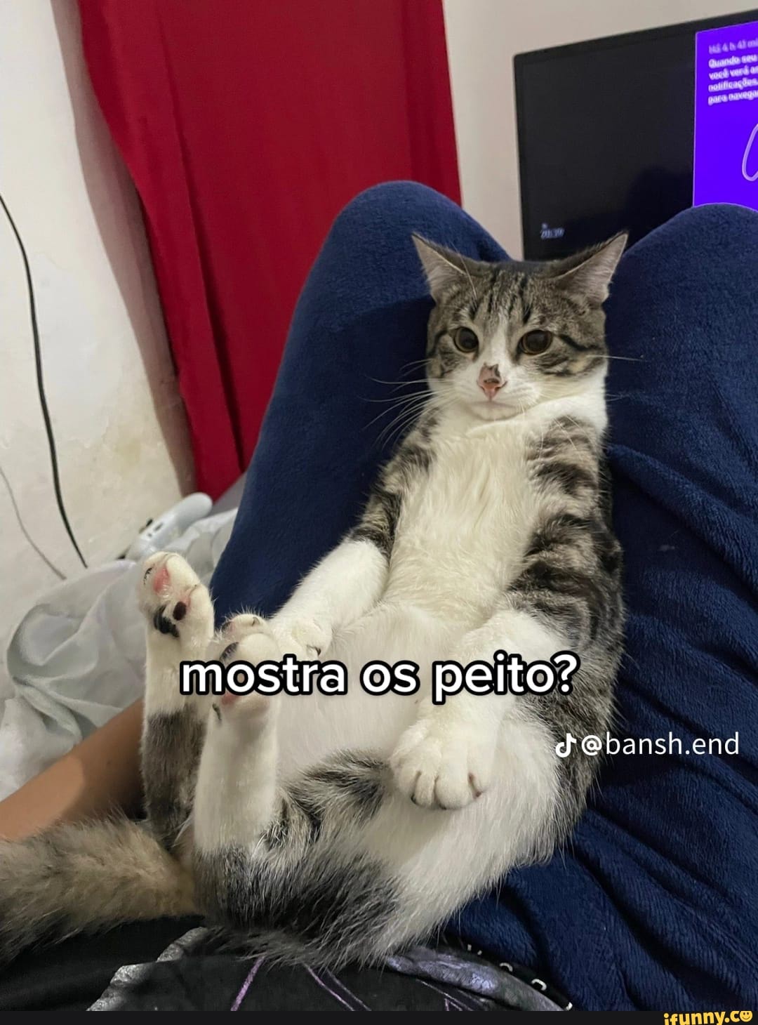 Mostra os peito? Jebansh.end - iFunny Brazil