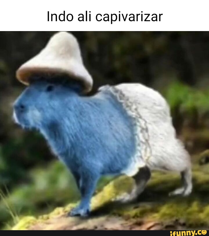 meme da capivara